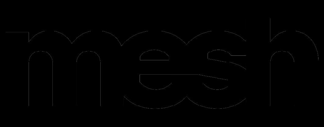 Mesh image